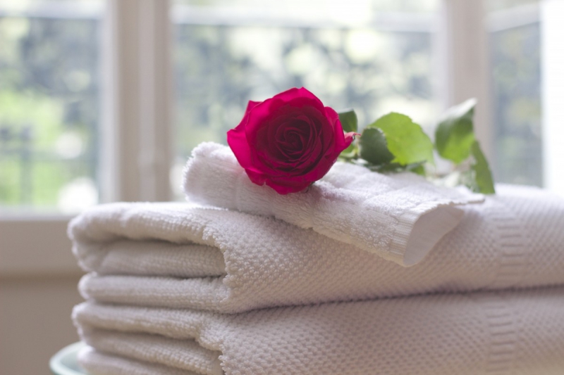 hotel-CANNES-min_towel_rose_clean_care_salon_spa_white_bath-731641